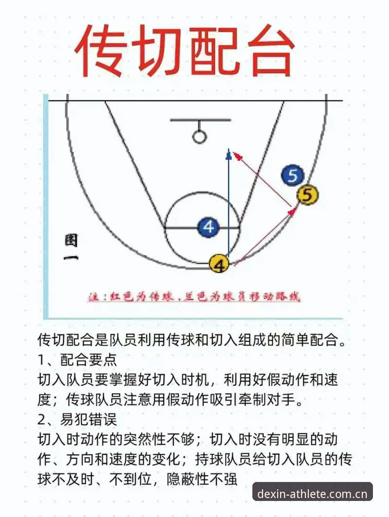揭秘德信体育使用教程：资深用户手把手教你玩转平台的全流程攻略